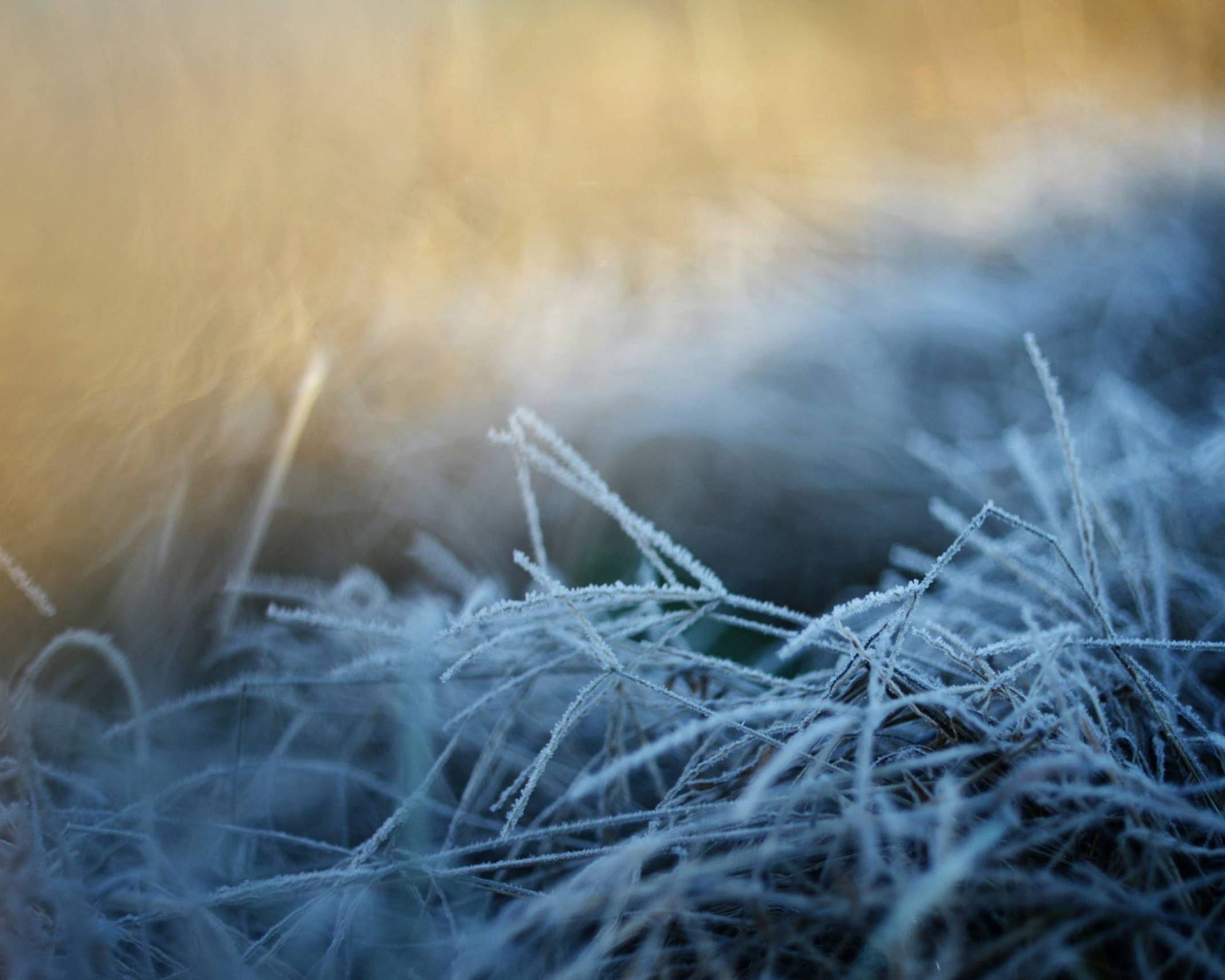 Rümpel-Corde Bestattungen